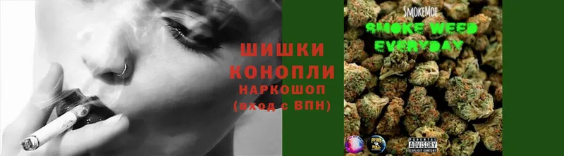 Шишки марихуана THC 21%  Грязи 